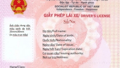 Hạng Giấy Phép Lái Xe Ô Tô Mới Nhất Hiện Nay