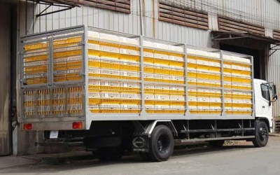 XE TẢI CHỞ GIA CẦM