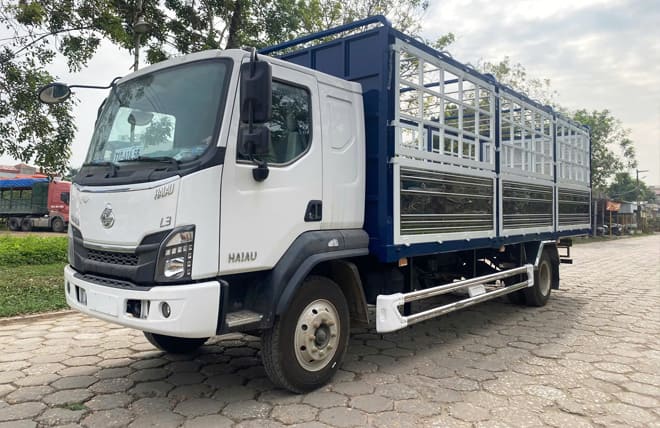 Cabin M3 thiết kế hiện đại và sang trọng