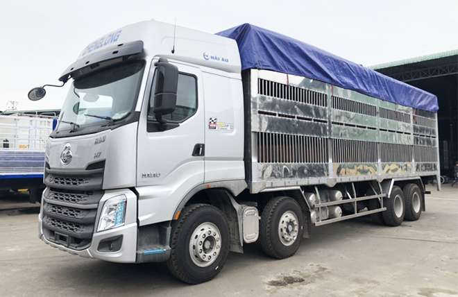 Hình 1: Chenglong H7 4 Chân 14.3 Tấn Chở Gia Súc 9m4